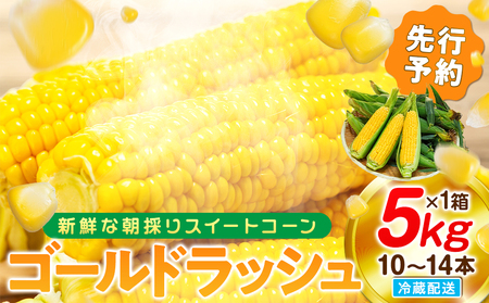 【先行予約 6月下旬から出荷】 スイートコーン 約5kg 10-14本 冷蔵 国産 先行予約 数量限定 コーン 野菜 新鮮 焼き 蒸し 産地 直送 甘い 甘口 子ども 子供 小分け 種子 肥料 さわやか すっきり 糖度 黄色 人気 おすすめ 愛知県 南知多町