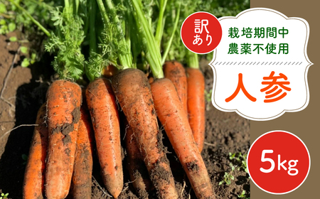 【12月～2月発送】【栽培期間中農薬不使用】訳あり人参５㎏ AIBA FARM　Ｂ品 / 野菜 やさい にんじん 人参 ニンジン 名産 特産 甘い 美味しい 訳あり 不揃い B級 健康 ヘルシー フードロス AIBA FARM アイバファーム 千葉県 富里市 TML006