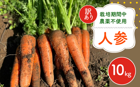 【12月～2月発送】【栽培期間中農薬不使用】訳あり人参１０㎏ AIBA FARM Ｂ品 / 野菜 やさい にんじん 人参 ニンジン 名産 特産 甘い 美味しい 訳あり 不揃い B級 健康 ヘルシー フードロス AIBA FARM アイバファーム 千葉県 富里市 TML007