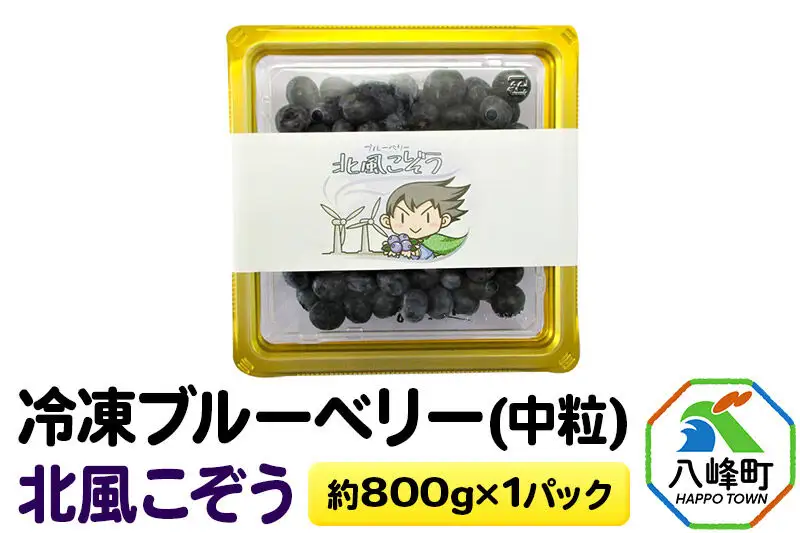 冷凍ブルーベリー(中粒)「北風こぞう」 約800g×1パック