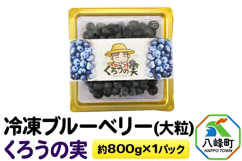 冷凍ブルーベリー(大粒)「くろうの実」 約800g×1パック