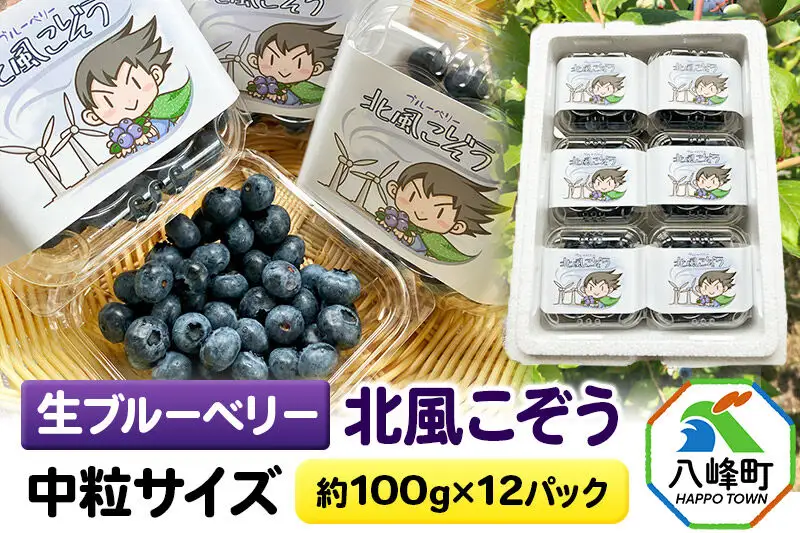 【2026年収穫先行受付】生ブルーベリー(中粒)「北風こぞう」 約100g×12パック