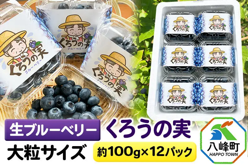 【2026年収穫先行受付】生ブルーベリー(大粒)「くろうの実」 約100g×12パック