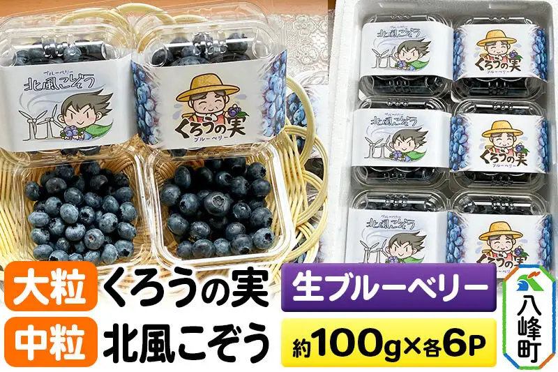 【2026年収穫先行受付】生ブルーベリー(大粒)「くろうの実」＆(中粒)「北風こぞう」セット 各約100g×6パック 計12パック