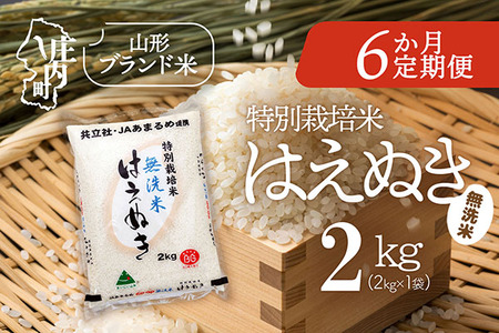 【6か月定期便】庄内米 特別栽培米 はえぬき 無洗米 2kg 毎月 2kg×1袋 令和7年産 / 令和8年産 ブランド米 米 山形 庄内平野 コシヒカリの原点、亀の尾発祥の地 庄内 お米の定期便【7月中旬発送/入金期限：2026年6月25日】