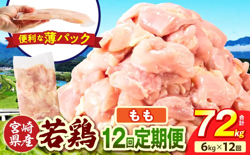 宮崎県産 若鶏切身もも肉 6kg（300g×20袋）【12か月定期便】_b0804_it_x2