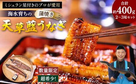 【ミシュラン1つ星店 採用】 うなぎ 国産 蒲焼き2-3尾 400g ギフト 蒲焼き 白焼き 鰻重 鰻丼 【数量限定】海水育ちの天草藍うなぎ 天草藍うなぎ 天草うなぎ 国産うなぎ 熊本県産うなぎ