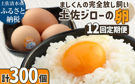 【ふるさと納税】土佐ジローの卵 定期便（25個入り×12回）もみ殻梱包 【J00137】