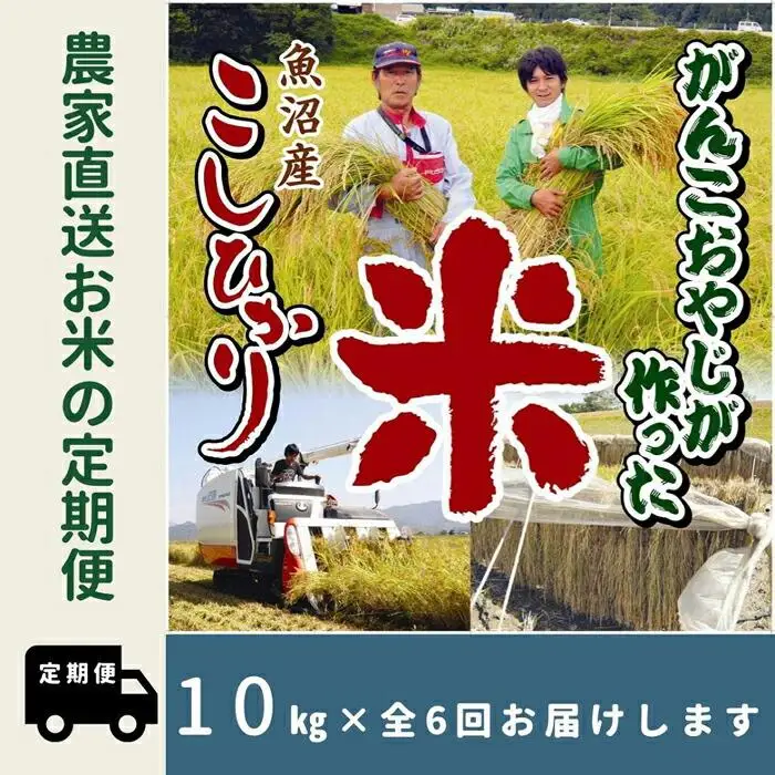 【令和７年産】6か月定期便　がんこおやじが作った南魚沼産コシヒカリ白米10kg（5kg×2袋）【定期便 銘柄米 ブランド米 精米 こしひかり コシヒカリ 魚沼産 新潟米 産地直送 お米 米 こめ コメ ご飯 御飯 ごはん】