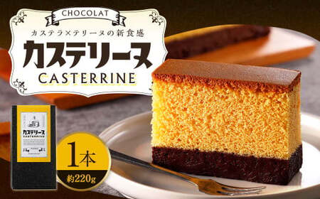 【14営業日以内発送】長崎カステリーヌ・ショコラ 1本 約220g ／ スイーツ デザート カステラ おかし 菓子 おやつ チョコレート ショコラ テリーヌ ご当地スイーツ かすてら テリーヌ 長崎県 長崎市