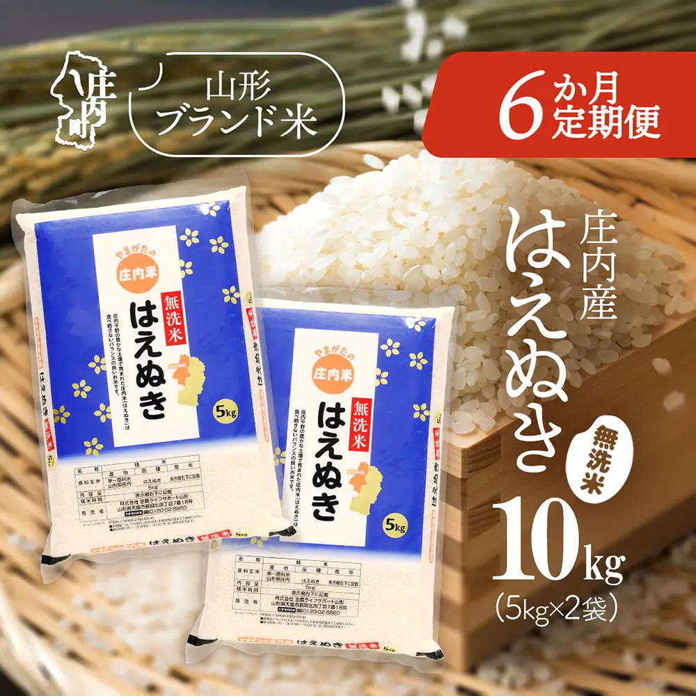 【6か月定期便】庄内米 はえぬき 無洗米 10kg 毎月 5kg×2袋 令和7年産 / 令和8年産 余目産 あまるめ ブランド米 米 山形 庄内平野 亀の尾発祥の地 庄内 お米の定期便【7月中旬発送/入金期限：2026年6月25日】