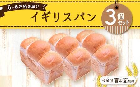 【6ヶ月連続お届け】今金産春よ恋使用！イギリスパン3個セット 朝食 朝ご飯 朝ごはん トースト 食パン パン 食品 北海道 今金町 F21W-473
