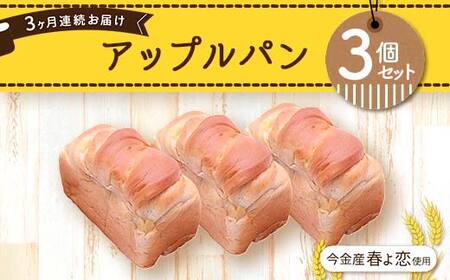 【3ヶ月連続お届け】今金産春よ恋使用！アップルパン3個セット 朝食 朝ご飯 朝ごはん トースト 食パン パン 食品 北海道 今金町 F21W-469