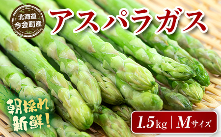 朝採れ新鮮アスパラ 1.5kg（Mサイズ） (2026年3月下旬~6月中旬または2026年7月上旬~9月上旬頃発送)  野菜 秀品 北海道産 バーベキュー BBQ キャンプ 旬野菜 アスパラガス 栄養満点 冷蔵発送 F21W-454
