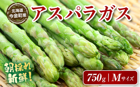 朝採れ新鮮アスパラ 750g （Mサイズ） (2026年3月下旬~6月中旬または2026年7月上旬~9月上旬頃発送) 野菜 秀品 北海道産 バーベキュー BBQ キャンプ 旬野菜 アスパラガス 栄養満点 冷蔵発送 F21W-457