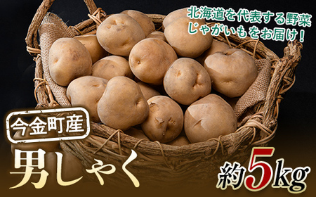 【先行予約】北海道今金町産男爵いも 約5kg 【2026年10月下旬以降順次出荷】北海道産 じゃがいも ジャガイモ だんしゃく 男爵 男爵いも 先行予約 野菜 ほくほく しっとり 常備野菜 野菜 F21W-485