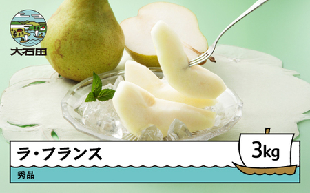 【先行予約】令和8年産 ラ・フランス 3kg 秀品 洋梨 なし ラフランス ns-laxxx3