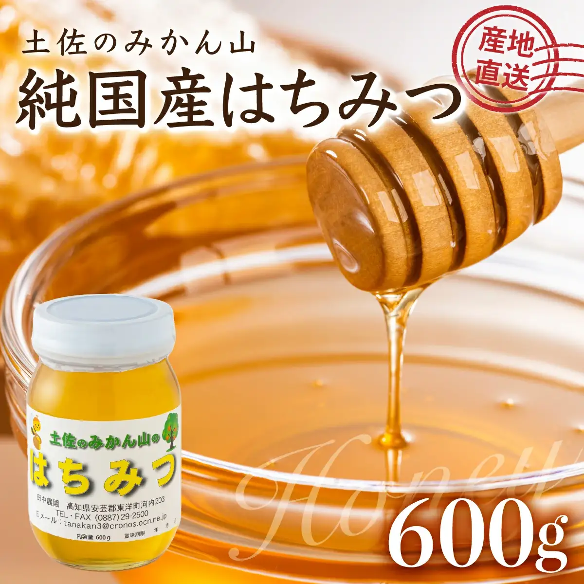 『純国産』土佐のみかん山のはちみつ＜600g＞ TA21 【田中農園】