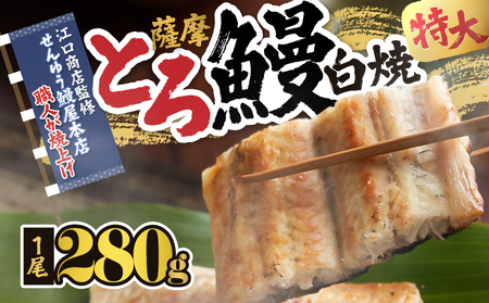 【 土用の丑の日特集 】 2519 【江口商店監修】薩摩トロ鰻白焼特大サイズ一尾 280g KN084-004 魚 冷凍 鰻