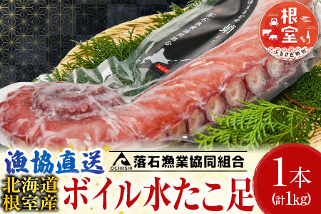 【北海道根室産】ボイル水たこ足1本(1kg) A-20007