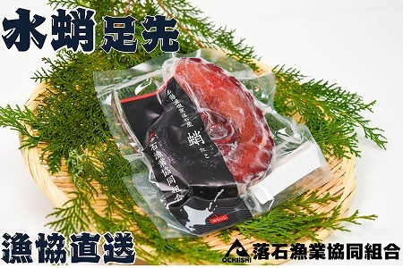 【北海道根室産】ボイル水たこ足先3P(計1kg) A-20008