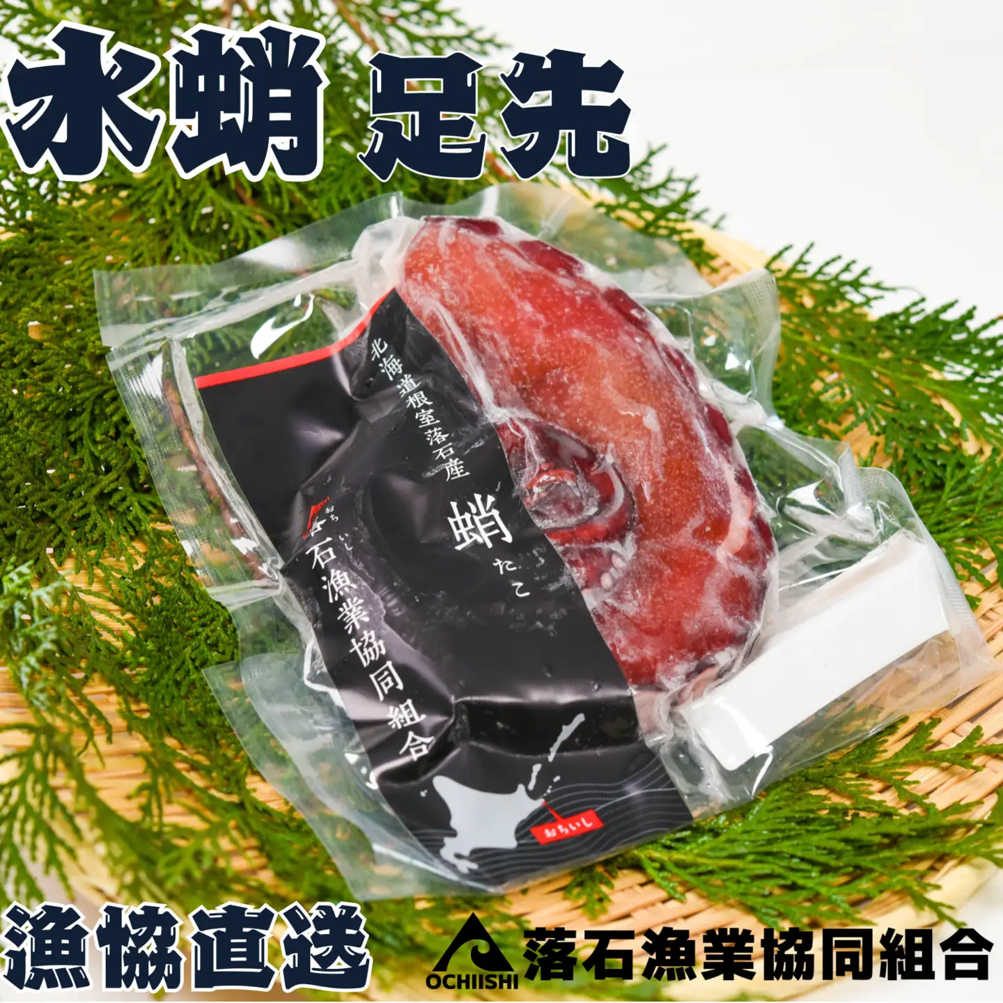 【北海道根室産】ボイル水たこ足先5P(計1.6kg) B-20006