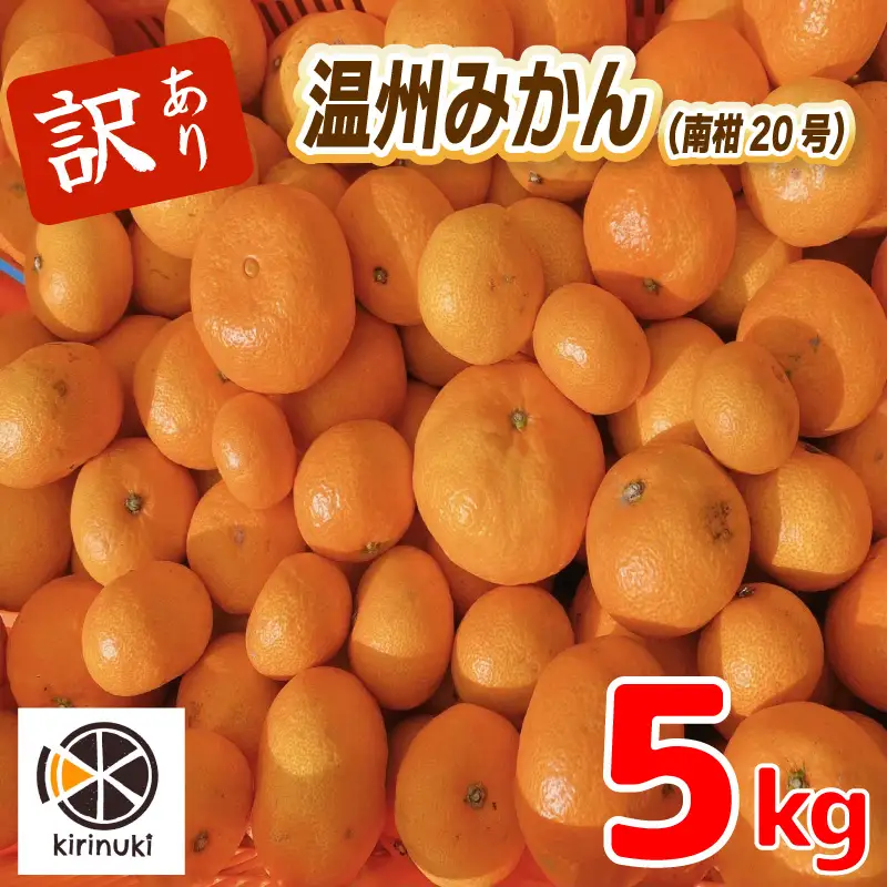 【2026年12月中旬頃から順次発送】訳あり 温州みかん 5kg  |  みかん ミカン 蜜柑 柑橘  うんしゅうみかん 愛媛県産 甘い 愛媛みかん フレッシュ おいしい フルーツ 規格外 わけあり 産地直送 果物 数量限定 国産 くだもの  愛媛県 松山市【KR009】