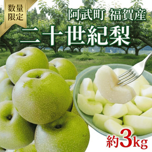 【先行予約】福賀の二十世紀梨 約3kg（7玉） 阿武町産 高糖度＆安心栽培 昼夜の寒暖差が生むシャキシャキ食感 数量限定 なし 梨 ナシ フルーツ 果物 旬 《お届け：2026年8月下旬～9月中旬頃出荷》 山口県 阿武町産 デザート