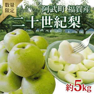 【先行予約】福賀の二十世紀梨 約5kg（12～18玉） 阿武町産 高糖度＆安心栽培 昼夜の寒暖差が生むシャキシャキ食感 数量限定 なし 梨 ナシ フルーツ 果物 旬 《お届け：2026年8月下旬～9月中旬頃出荷》 山口県 阿武町産 デザート