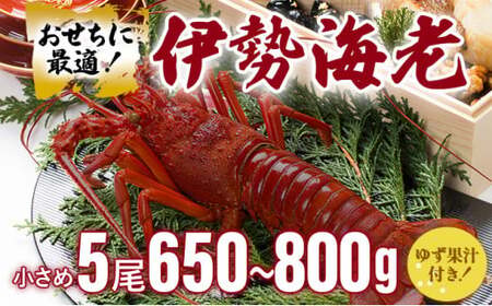 伊勢海老おせちサイズ　5尾セット【冷凍】　S214 【株式会社森海家】