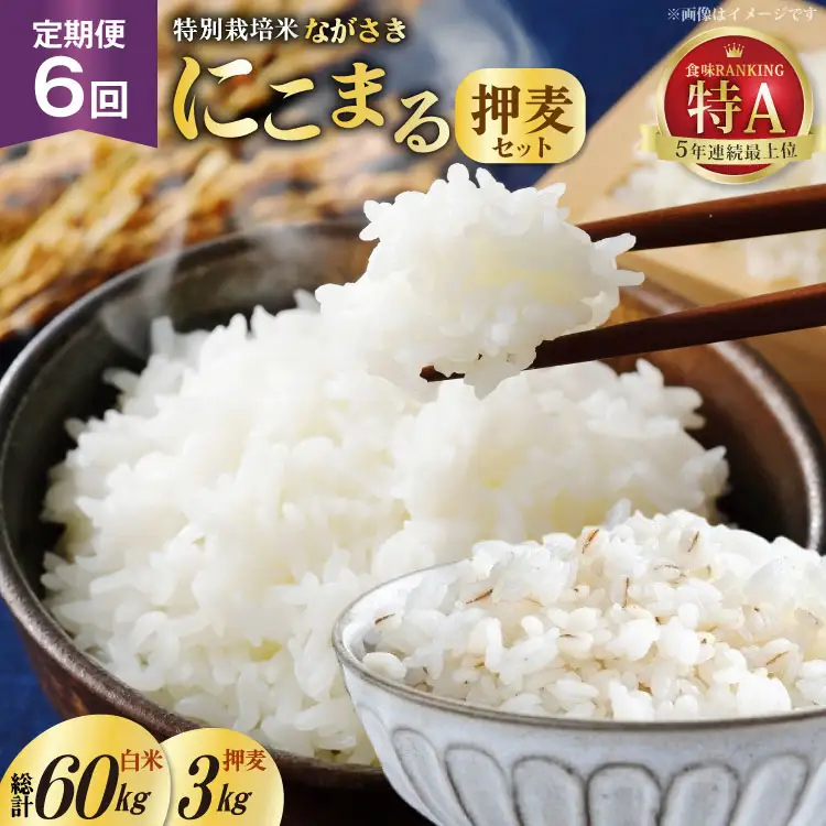 CD104【6回定期便】特別栽培米ながさきにこまる・押麦セット[ 白米 精米 ごはん ご飯 こめ おこめ もちもち おにぎり 粘り おいしい 長崎県産 長崎県産米 長崎にこまる 長崎県 島原市 ]
