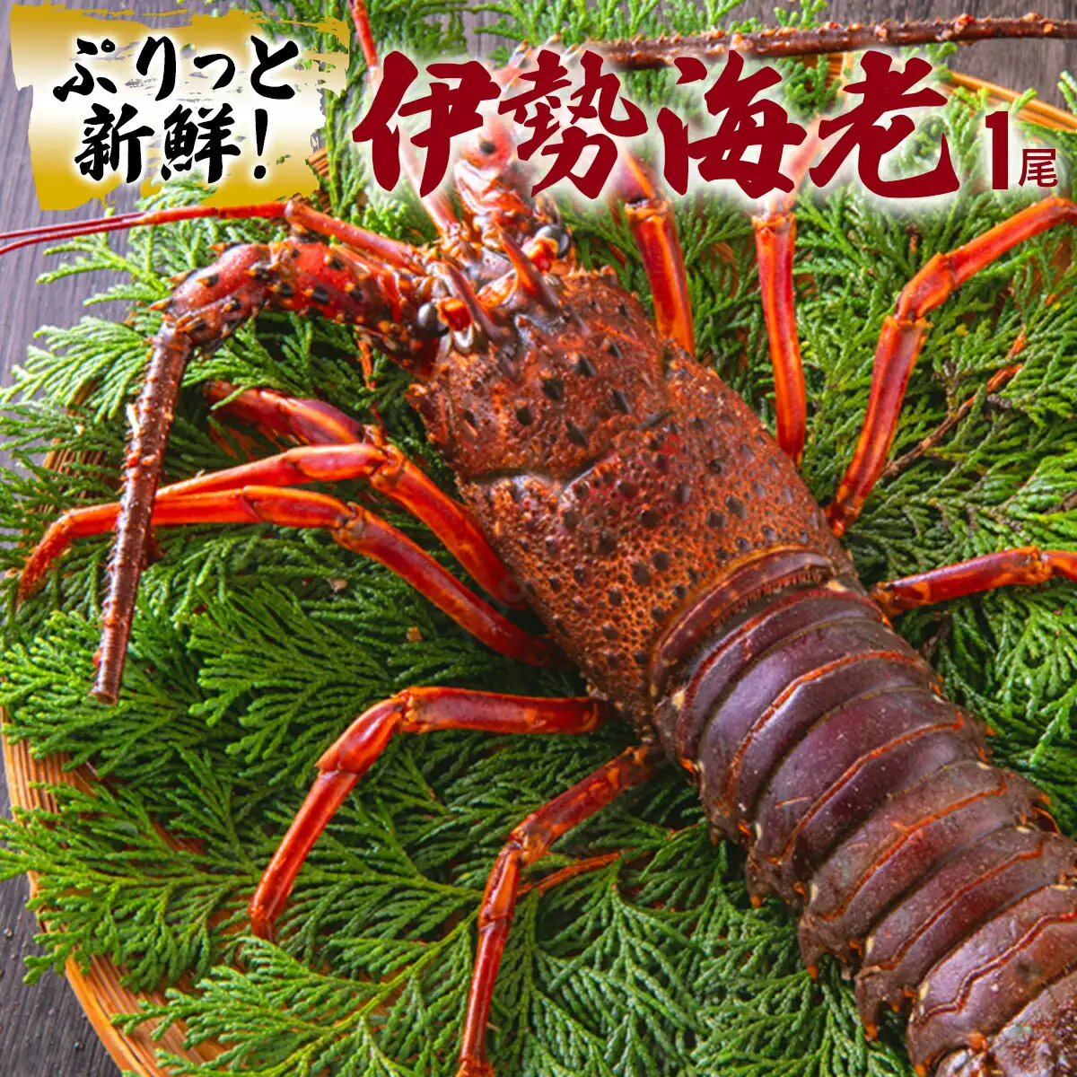 伊勢海老 ＜200g前後＞ S143 [S-21] 【株式会社森海家】