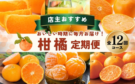 みかん 柑橘 定期便 みかん 12回 果物【tkb507】