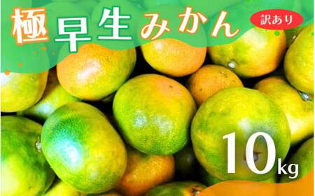 【2026年秋頃発送予約分】【訳あり】こだわりの極早生みかん 約10kg ※2026年10月から11月に順次発送予定（お届け日指定不可） 有機質肥料100% サイズ混合  有田産【nuk167B】 