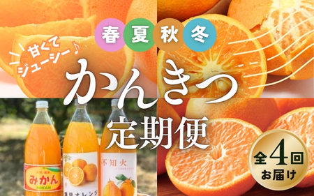 みかん 柑橘 定期便 みかん 4回 果物【tkb508】
