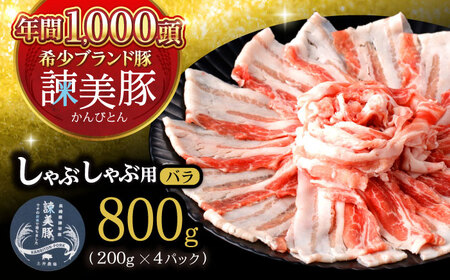諫美豚 バラ肉 800g / 豚バラ [AHAD075]