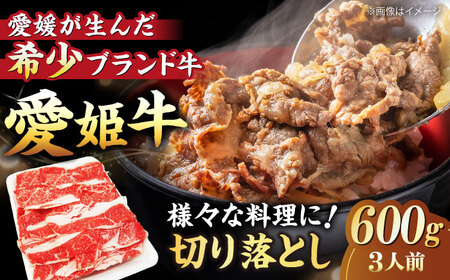 【冷凍】 牛肉 切り落とし[AGCC029] 牛肉 切り落とし 牛肉 切り落とし 牛肉 切り落とし 牛肉 切り落とし