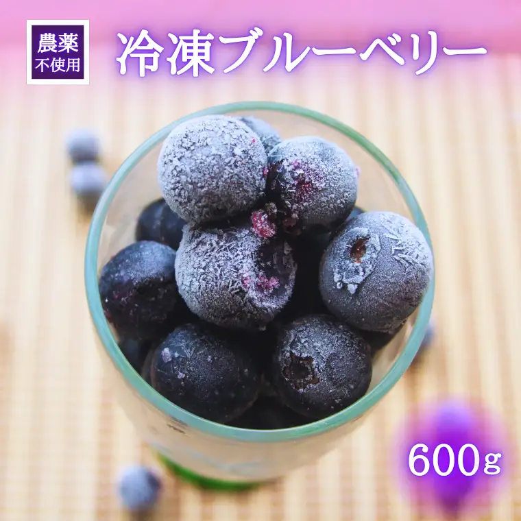シルクファーム産　冷凍ブルーベリー600g（300g×2パック）