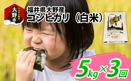 【先行予約】【3ヶ月定期便】【令和8年度産 新米】福井県大野産コシヒカリ（白米）5kg×3回 計15kg [A-094002]