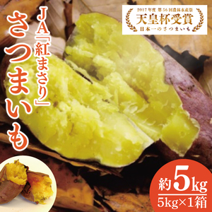 【2027年2月より順次発送】【行方かんしょ】『天皇杯受賞』JA「紅まさり」さつまいも 約5kg｜さつまいも サツマイモ さつま芋 お芋 紅まさり 行方かんしょ 先行予約 茨城県 行方市(AE-98)