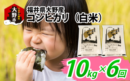 【先行予約】【6ヶ月定期便】【令和8年度産 新米】福井県大野産コシヒカリ（白米）10kg(5kg×2袋)×6回 計60kg [G-094002]
