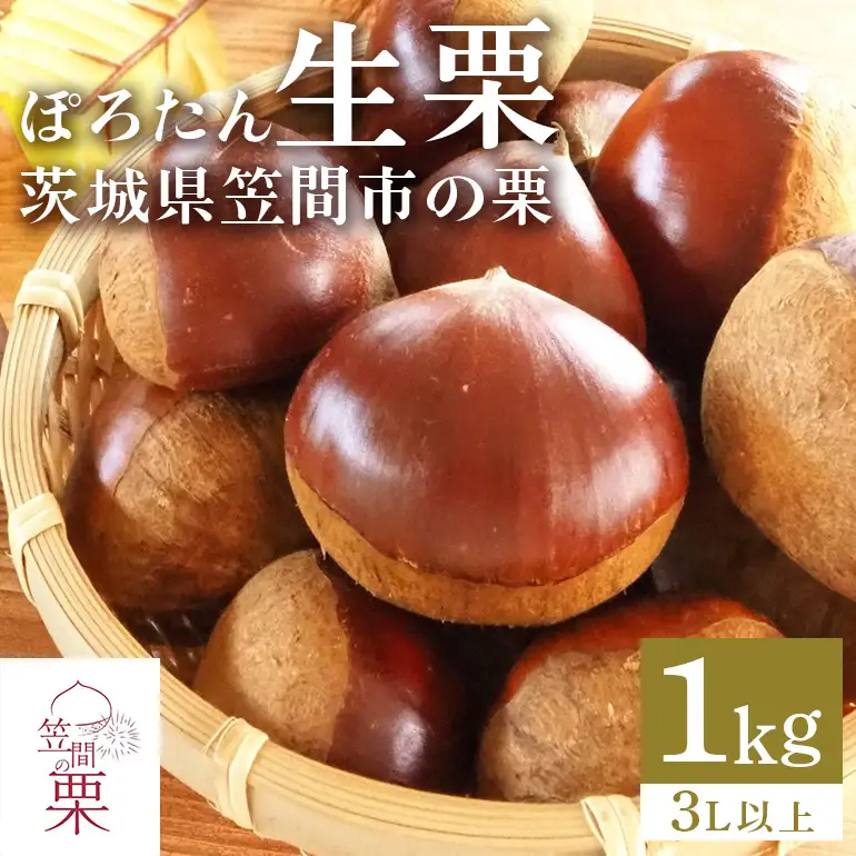 甘露煮におすすめ！笠間の栗・箱田農園の生栗「ぽろたん」1kg（3L以上） JN-004
