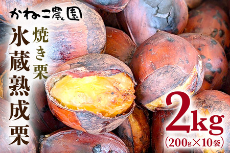 笠間の栗・かねこ農園の焼き栗 200g×10袋 栗 クリ くり 焼栗 茨城県 笠間市 JO-012