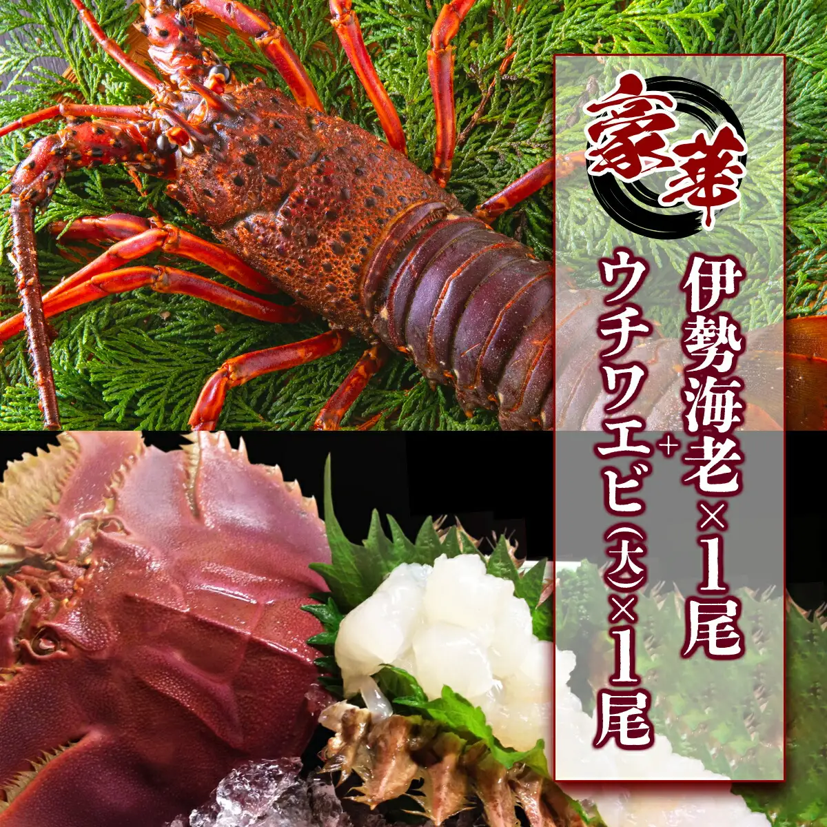 ウチワエビ(大)×1尾＆伊勢海老×1尾の豪華セット　 S218 [S-24] 【株式会社森海家】