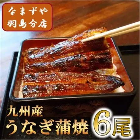 九州産うなぎ蒲焼　6尾〈計約720g〉_魚介・海産物 うなぎ  ウナギ 鰻_【配送不可地域：離島】【1533665】