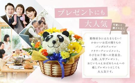 アニマルフラワーアレンジメント パンダ | 花 カーネーション ギフト お祝い パンダ フラワー 生花 プレゼント 可愛い インテリア 飛騨高山 下出生花店 BB005