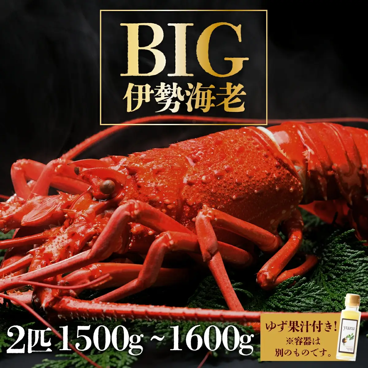 超BIG伊勢海老＜2匹＞1000匹に1匹レベルが2匹！【冷凍】 S242 【株式会社森海家】