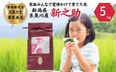 令和7年産『新之助』5kg 米・食味鑑定士お墨付き 家族みんなで愛情かけて育てた米 新潟県糸魚川産 2025年 しんのすけ 白米 百姓や伝六【米 お米 こめ 食品 人気 おすすめ ギフト 新潟県の新しいブランド米 農家直送 5キロ 精米 新之助 白米 】