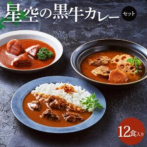 「星空の黒牛」カレー・シチュー・スープカレーセットE 12食　|  スープカレー