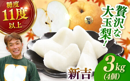 【2026年発送分 先行予約】【化粧箱入り】新吉（新高）4個入（約3kg） / 佐賀県 / 大川三世代 [41AEAB009]